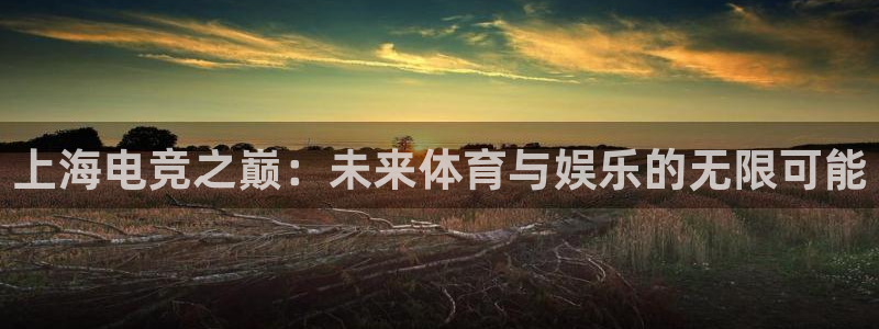 南宫电竞平台：上海电竞之巅：未来体育与娱乐的无限可能