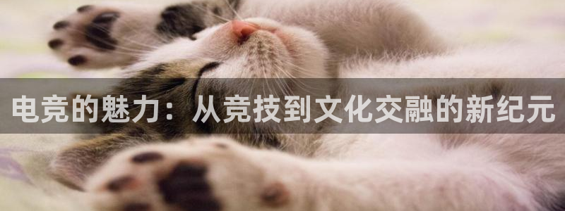 南宫电竞官网：电竞的魅力：从竞技到文化交融的新纪元