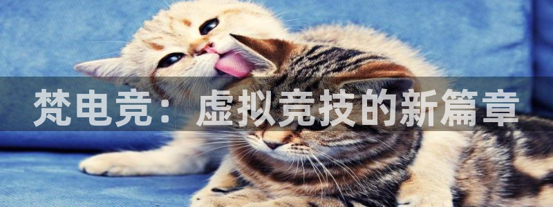 南宫电竞注册：梵电竞：虚拟竞技的新篇章
