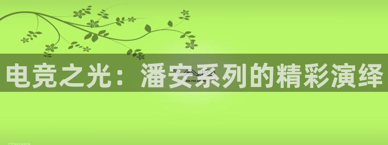 南宫电竞官网：电竞之光：潘安系列的精彩演绎