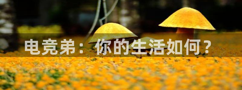 南宫电竞注册：电竞弟：你的生活如何？