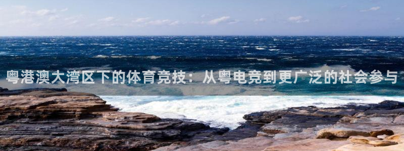 南宫电竞贴吧：粤港澳大湾区下的体育竞技：从粤电竞到更广泛的社会参与