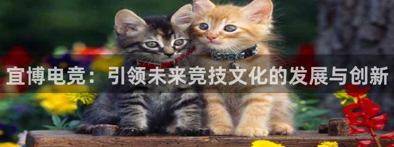 南宫电竞app：宜博电竞：引领未来竞技文化的发展与创新